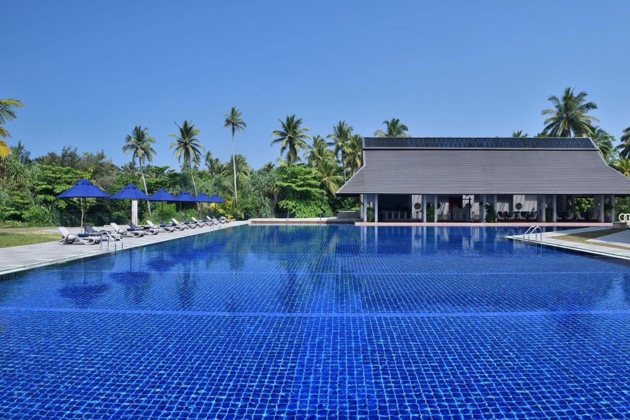 Sheraton Turtle