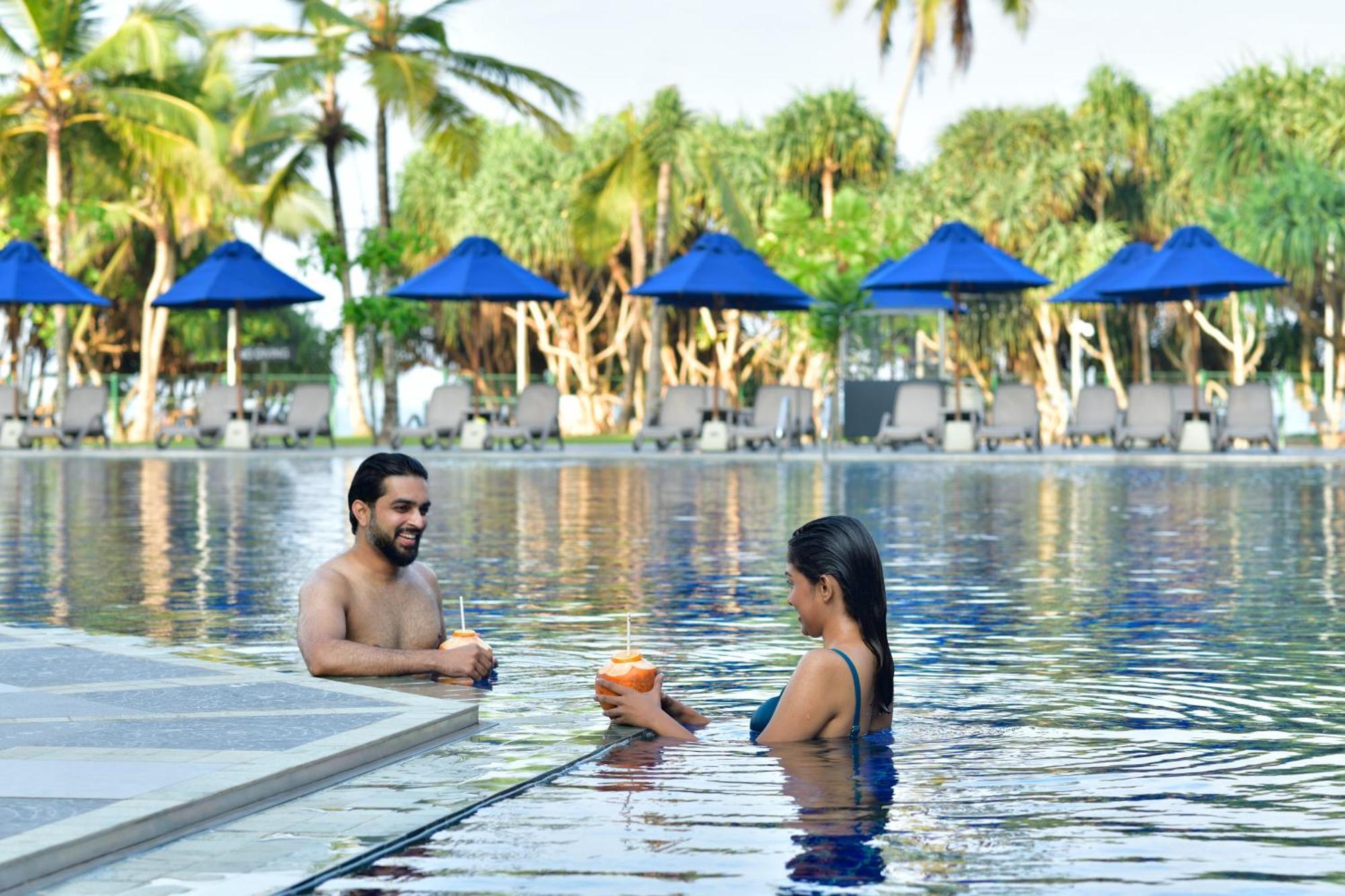 Sheraton Turtle